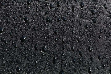 Drops of black liquid on a glass surface
