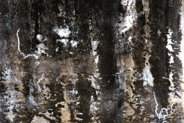 Obraz premium Close-up texture of black stone for wall paper or background