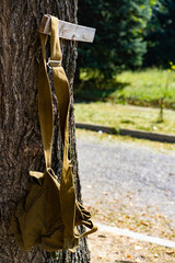 Camping bag hanging on a tree