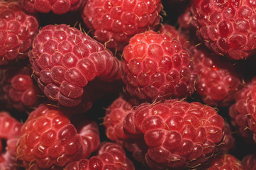 Fresh raspberry close up. ripe raspberries. red berry background