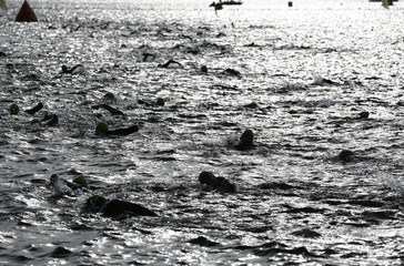 Open water swimming in the backlight 