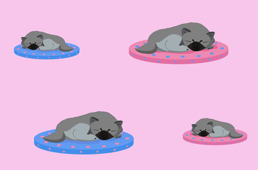 Keeshond little puppies sleep on blue and pink pillows. Seamless pattern on a pink background.
