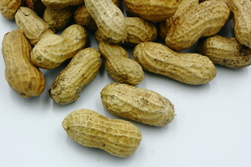 peanuts on a white background