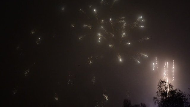 Fireworks, cracking, against, black, sky, in the, night, with, some, trees, in the, foreground, shadows, sound, bomb, explosion, pyro, pyrotechnics, nice, style, beautiful, 