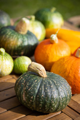 Autumn pumpkins for sale stock photo