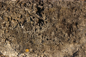 concrete, texture