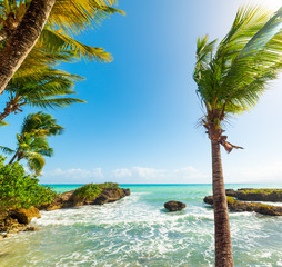 Fototapeta na wymiar Palm trees in Bas du Fort beach in Guadeloupe