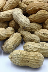 peanuts in shell