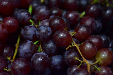 Grape very fresh form the farm to the market.