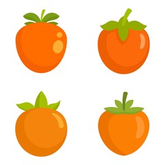 Persimmon icon set. Flat set of persimmon vector icons for web design