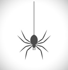 spider black icon