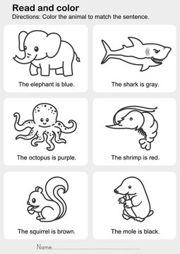 Read and color : Color the animal to match the sentence - worksheet for education