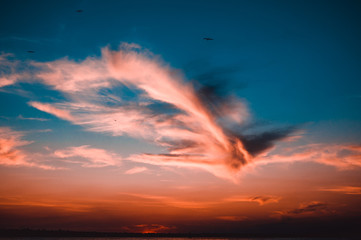 Fototapeta na wymiar cloud phoenix
