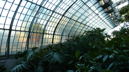 View of the greenhouse in the garden in Auteuil