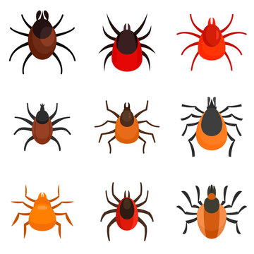 Mite icons set. Flat set of mite vector icons for web design