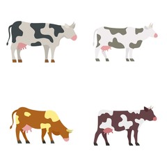 Cow icons set. Flat set of cow vector icons for web design