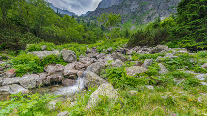 stream in the mountains