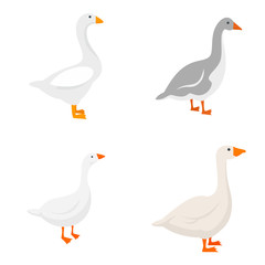 Goose icons set. Flat set of goose vector icons for web design