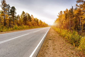Fototapeta premium A curving autumn road with colorful forest and mountain in the far distance