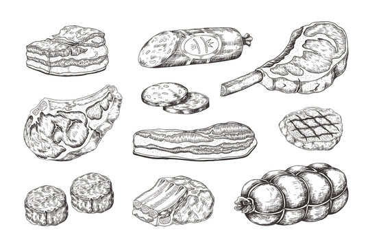 Meat steak. Vintage food sketch with butchery products, pork ham bacon lamb ribs and beefsteak. Vector illustration hand drawn raw cutting grill menu