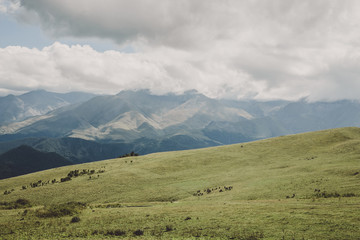 Panorama view of mountains and valley scenes in national park Dombay