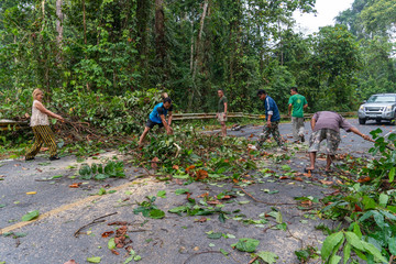 Nakornrajsima,Thailand-April,23,2019:The fallen tree closed the road traffic..Forest officials helped each other to remove trees from the road.