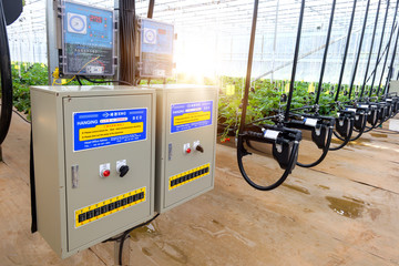 CHIANGMAI, THAILAND - February 12 : Smart agriculture technology trend and internet of things (iot), vertical farming concept. Strawberry chang tnk farm. February 12 2018 in CHIANGMAI , THAILAND.