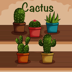 Cactus Mexicano