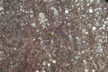 Rock Surface