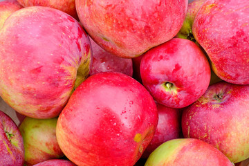 Background of fresh red seasonal apples. Organic food as background.