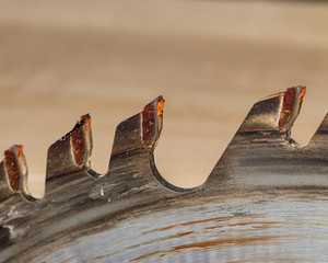 Closeup of pitch and resin build up on cutting edge of table saw blade that needs cleaning