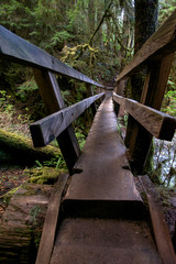 Bridge on Olympic National Park Trail