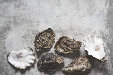 Fresh oysters on a textured stone background with copy space