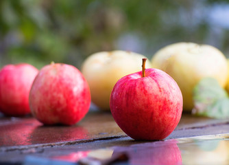 apples on a wooden table after a rain