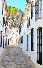 Paved road, sloping with plants and flowers located in the Spanish town of Grazalema