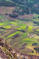 Fototapeta na wymiar Green terraced fields in the countryside in Amhara province near city Weldiya with traditional african houses, Ethiopia agriculture concept. Africa