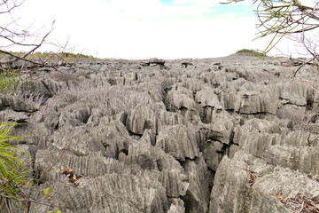 The Tsingy of Ankarana, northern Madagascar