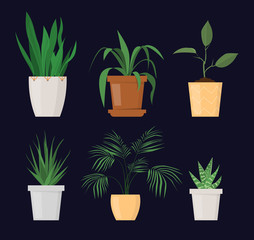 Fototapeta premium Green plant in the pot set vector isolated. Gardening hobby