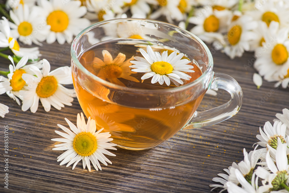 Wall mural Glass cup with herbal tea with chamomile flowers