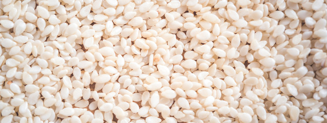 Sesame seeds isolated on white background top view. panorama - obrazy, fototapety, plakaty
