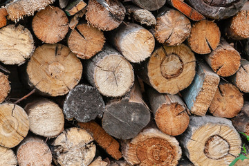 Cross section texture of old wood. Picturesque pile of wood fuel in the countryside close - up as background.