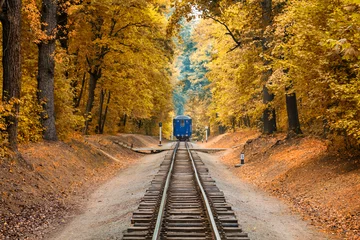Deurstickers Beautiful autumn forest and old colorful blue railway train locomotive on the track rails. © sunday_morning