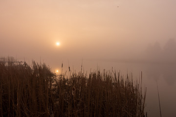 Mgła świt nad rzeką Wkra