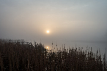 Mgła świt nad rzeką Wkra
