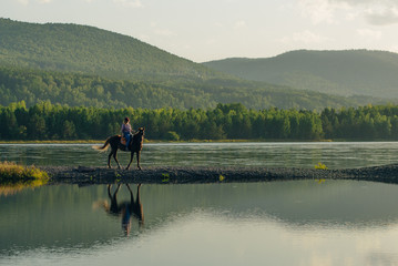Silhouettes of riders on horseback walk along the road across the river. Horse riders on bridge, outdoors landscape