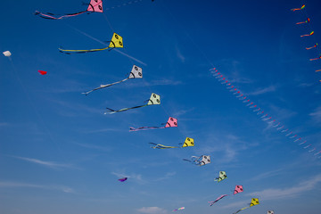 Beachside Kite festival Ameland 2019