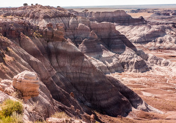 petrified forest Route 66