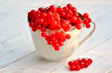 Viburnum berries in a cup on a white wooden background close-up