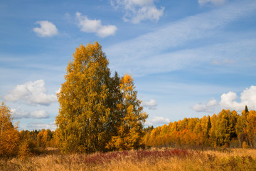 Beautiful autumn Sunny landscape with clouds.