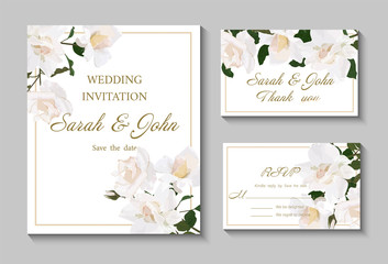 Wedding invitation with Rose flower, watercolor, isolated on white.  Vector Watercolour.